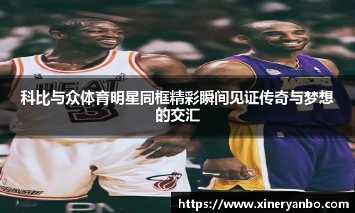 欧博abg官网
